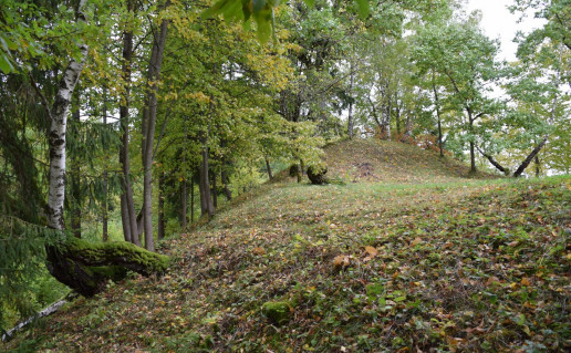 13_Lasiniu piliakalnio aikstele_R_Mikitiejevos foto.jpg